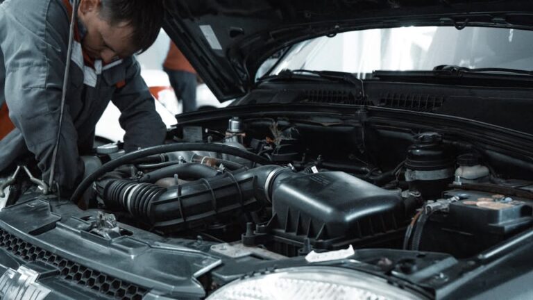 Na koliko se radi mali servis automobila