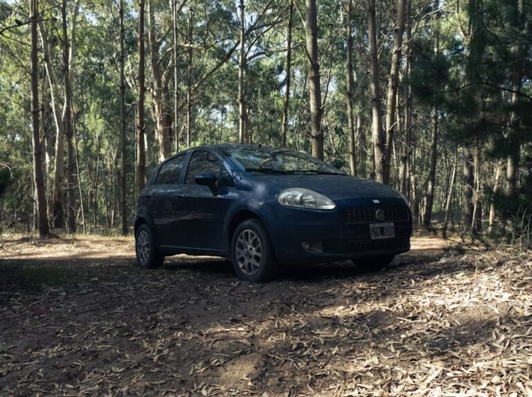 Na koliko se radi veliki servis Fiat Punto