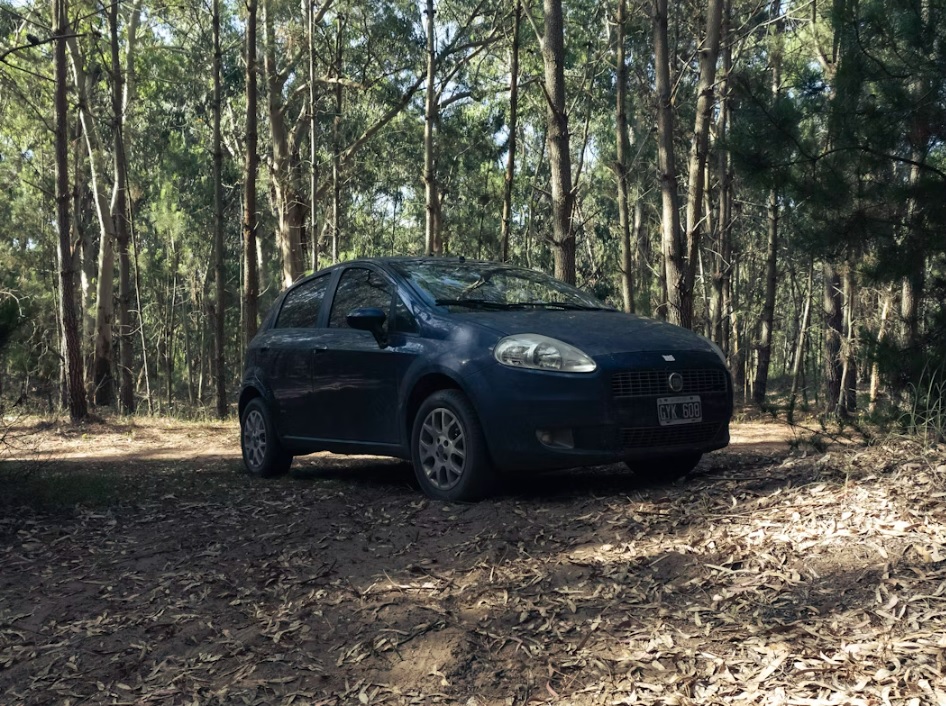 Na koliko se radi veliki servis Fiat Punto