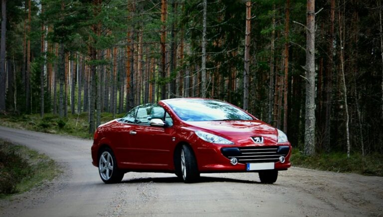Peugeot 307 iskustva