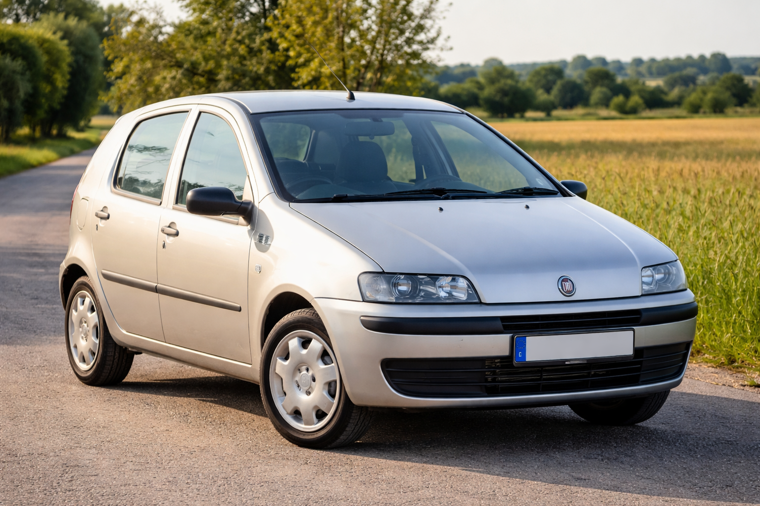 Fiat Punto 1.2 8V iskustva vlasnika u Srbiji – gradski automobil parkiran na putu